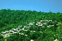 *** Hotel O'Reilly'S Mountain Villas Australia